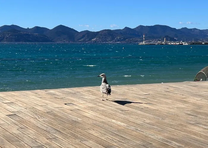 Filou Cannes